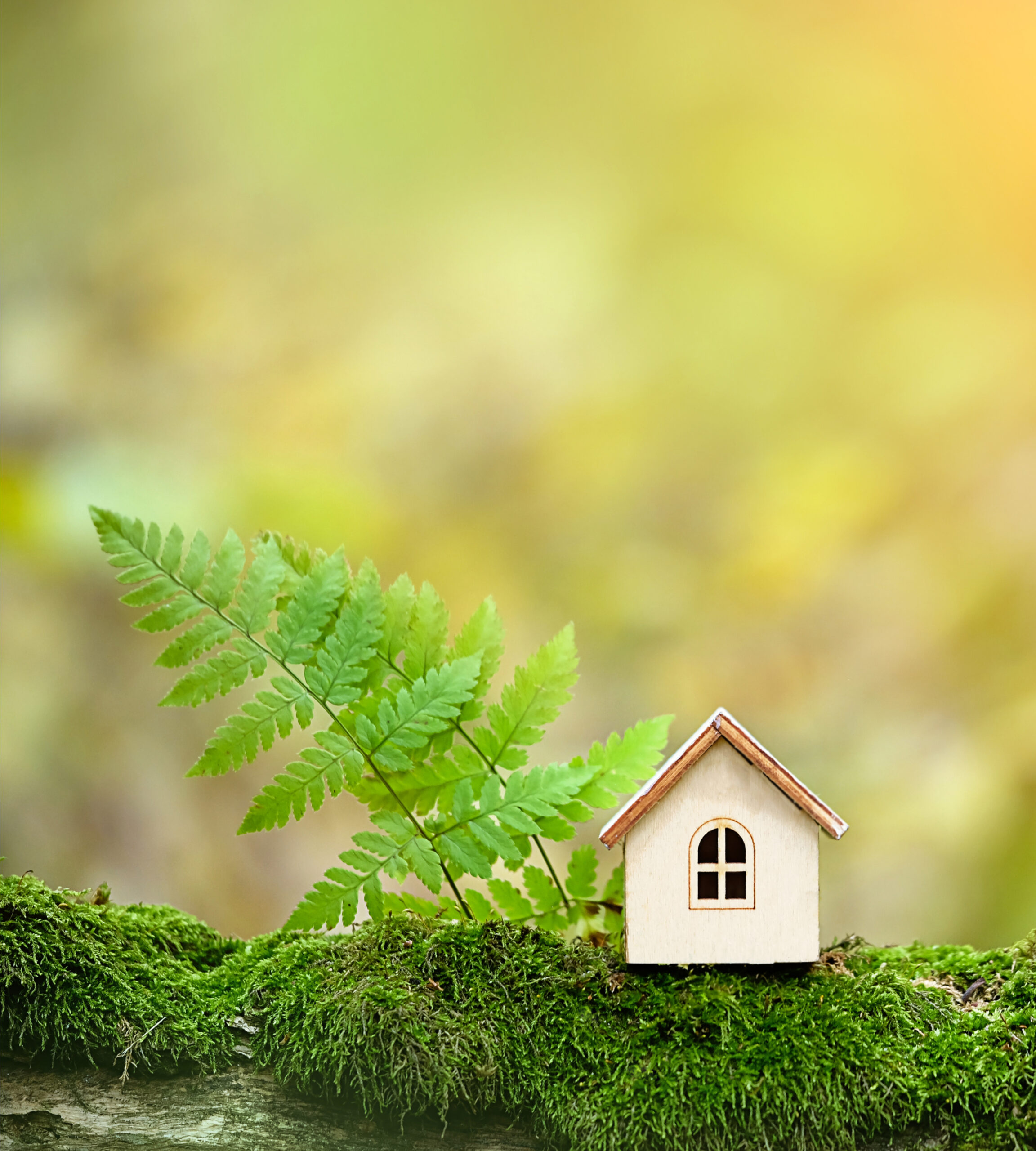 shutterstock_1520849765